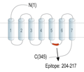 GPR139 Blocking Peptide