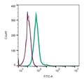 Anti-GPR142 (extracellular)-FITC Antibody