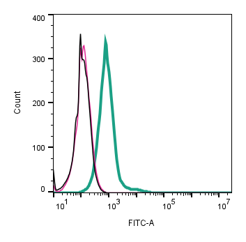 Anti-GPR142 (extracellular)-FITC Antibody