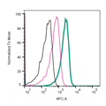 Anti-GLUT1 (extracellular)-APC Antibody
