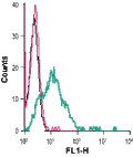 Anti-GLUT1 (extracellular)-FITC Antibody