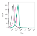 Anti-Human GLUT3 (extracellular)-PE Antibody