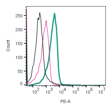 Anti-Human GLUT3 (extracellular)-PE Antibody