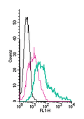 Anti-Histamine H1 Receptor/HRH1 (extracellular)-FITC Antibody