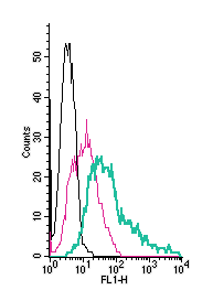 Anti-Histamine H1 Receptor/HRH1 (extracellular)-FITC Antibody