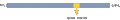 Anti-RIM1 Antibody