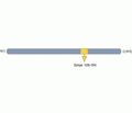 RIM1 Blocking Peptide