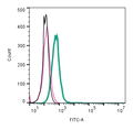 Anti-KISS1 Receptor (GPR54) (extracellular)-FITC Antibody