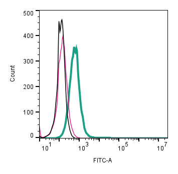 Anti-KISS1 Receptor (GPR54) (extracellular)-FITC Antibody