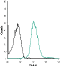 Mouse Anti-Human Orai1 (extracellular)-ATTO Fluor-633 Antibody