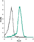 Mouse Anti-KCNN4 (KCa3.1, SK4) (extracellular)-Biotin Antibody