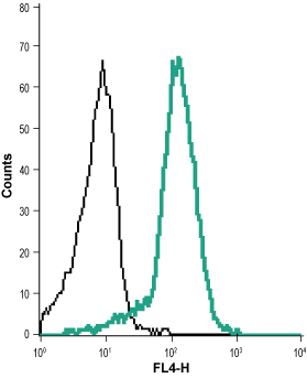 Mouse Anti-KCNN4 (KCa3.1, SK4) (extracellular)-Biotin Antibody