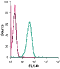 Mouse Anti-KCNN4 (KCa3.1, SK4) (extracellular)-FITC Antibody