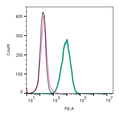 Mouse Anti-KCNN4 (KCa3.1, SK4) (extracellular)-PE Antibody