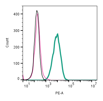 Mouse Anti-KCNN4 (KCa3.1, SK4) (extracellular)-PE Antibody