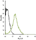Anti-Human BLT1 (extracellular)-ATTO Fluor-488 Antibody
