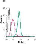 Anti-CysLTR1 (extracellular)-FITC Antibody