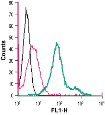 Anti-LPAR2 (EDG4) (extracellular)-FITC Antibody
