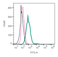 Anti-Leptin Receptor (extracellular)-FITC Antibody