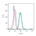 Anti-CLEC7A/Dectin-1 (extracellular)-FITC Antibody