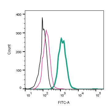Anti-CLEC7A/Dectin-1 (extracellular)-FITC Antibody