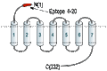 Anti-MC4 Receptor (extracellular) Antibody