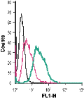 Anti-Dopamine Transporter (DAT) (extracellular)-FITC Antibody
