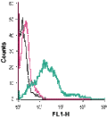 Anti-Serotonin Transporter (SERT) (extracellular)-FITC Antibody