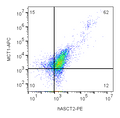 Anti-Human ASCT2/SLC1A5 (extracellular)-PE Antibody