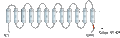 Anti-MCT3 Antibody