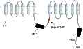 Anti-Human ABCB1/MDR1 Antibody