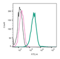 Anti-Nicotinic Acetylcholine Receptor α7 (CHRNA7) (extracellular)-FITC Antibody