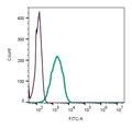 Anti-Human Orai1 (extracellular)-FITC Antibody