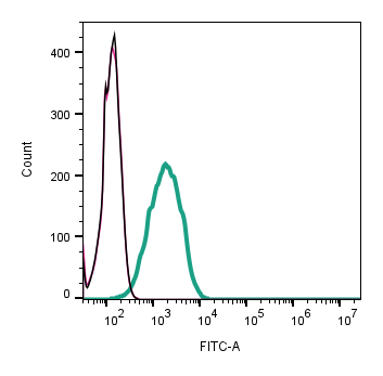 Anti-Human Orai1 (extracellular)-FITC Antibody