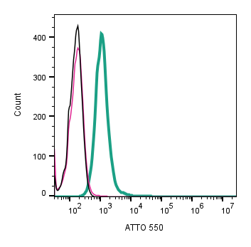 Anti-STIM1 (extracellular)-ATTO Fluor-550 Antibody