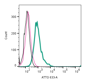 Anti-Nicotinic Acetylcholine Receptor α7 (CHRNA7) (extracellular)-ATTO Fluor-633 Antibody