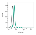 Anti-Nicotinic Acetylcholine Receptor β2 (CHRNB2) (extracellular)-ATTO Fluor-594 Antibody