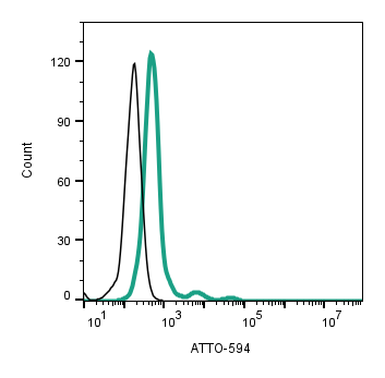 Anti-Nicotinic Acetylcholine Receptor β2 (CHRNB2) (extracellular)-ATTO Fluor-594 Antibody