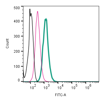 Anti-Beta 2 Na+/K+ ATPase (extracellular)-FITC Antibody