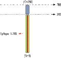 Anti-Syntaxin 1 Antibody
