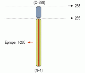 Syntaxin 1 Blocking Peptide