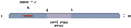 Anti-CPLX1/2 Antibody