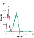 Anti-TREM2 (extracellular)-FITC Antibody