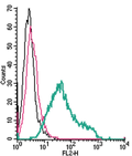 Anti-TREM2 (extracellular)-PE Antibody