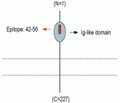TREM2 (extracellular) Blocking Peptide