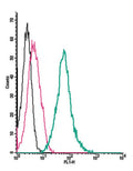 Anti-NPY1R (extracellular)-FITC Antibody