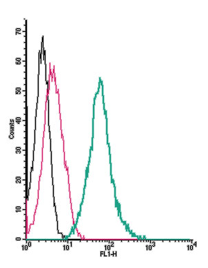 Anti-NPY1R (extracellular)-FITC Antibody