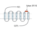 Neuropeptide S Receptor (extracellular) Blocking Peptide