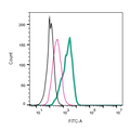 Anti-NrCAM (extracellular)-FITC Antibody