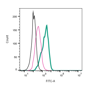 Anti-NrCAM (extracellular)-FITC Antibody